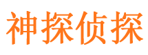 西城侦探公司